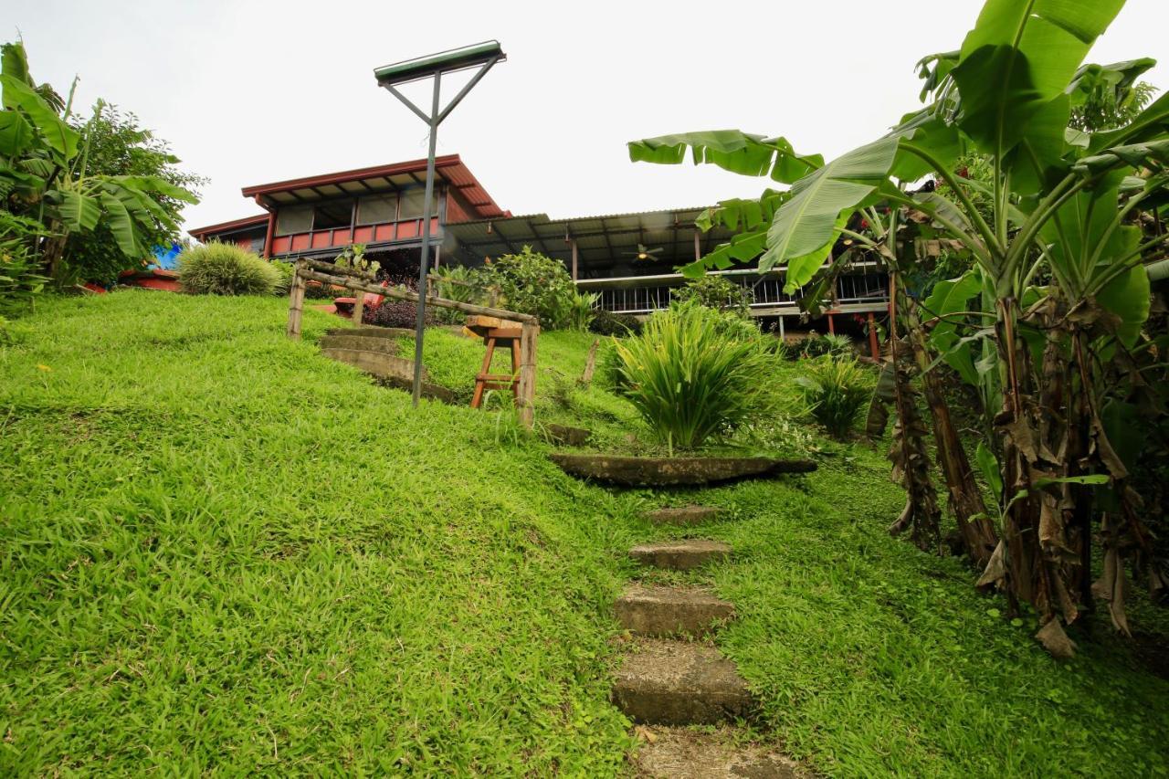 Toucan Lane Hotel And Restaurant Nuevo Arenal Eksteriør billede